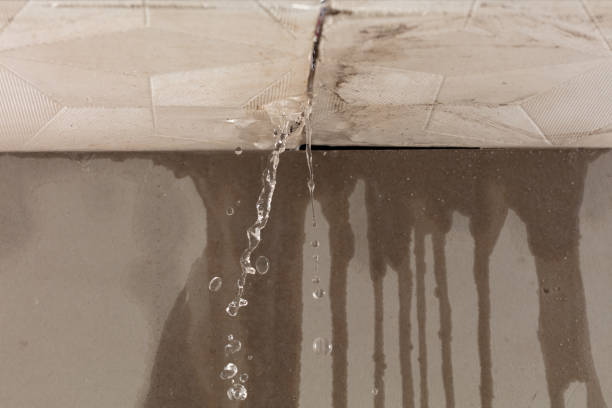 Professional Water Damage Inspection technician working in Wellesley Hills, MA
